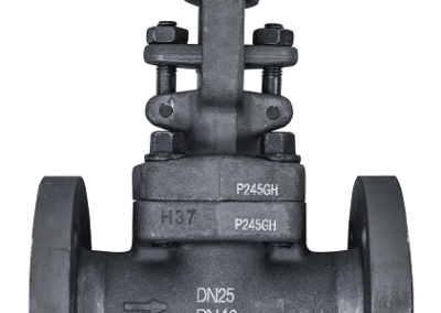zawór grzybkowy zaporowy SW218-DN15-25