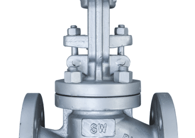 zawór grzybkowy zaporowy SW218-DN32-200