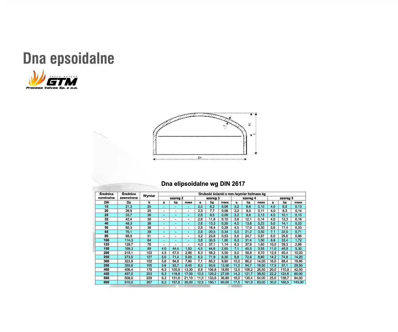 dna elipsoidalne wg DIN 2617