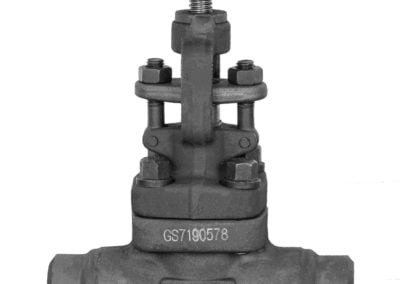 zawór grzybkowy SW422s
