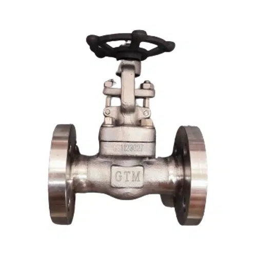 zasuwa pierścieniowa stalowa gavf40